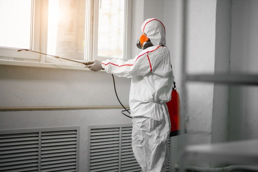 Professional mold remediation services in Geneva, IN